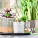 Maybesea Nadmorskie Tarasy A415 아파트 코워브제크
